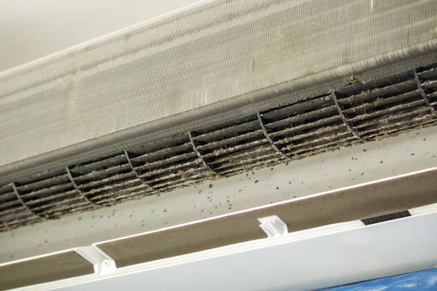 Best HVAC Duct Inspection Services  in Sterlington, LA